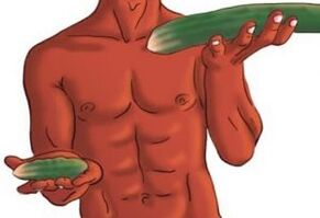result of penis enlargement on the example of cucumbers